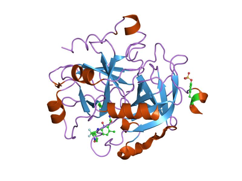 File:PDB 1z71 EBI.jpg