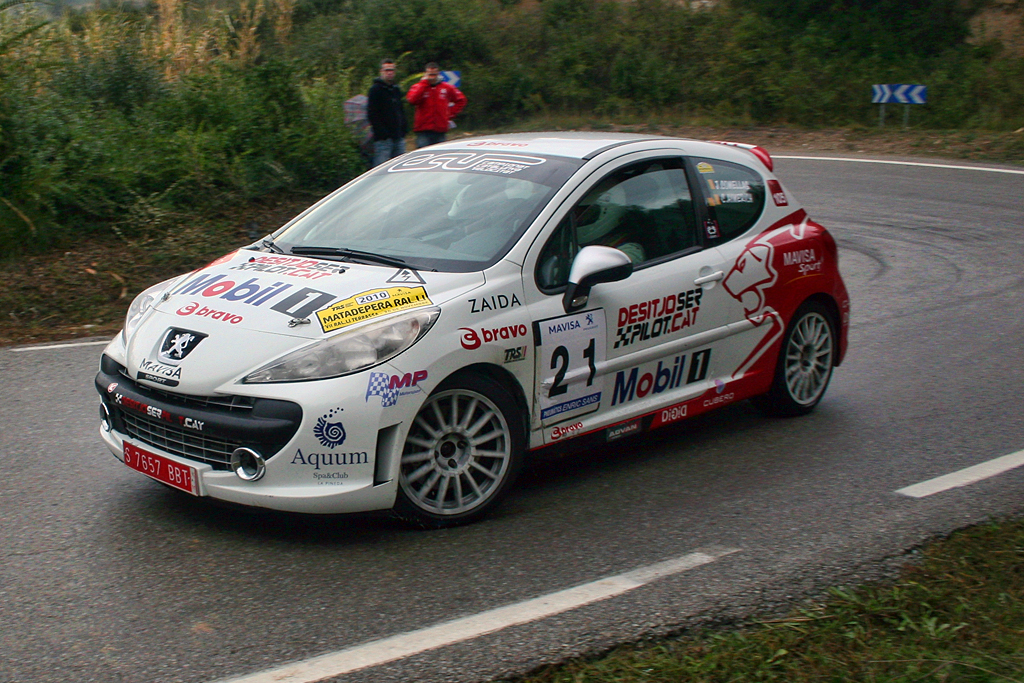 Peugeot 207 Rally