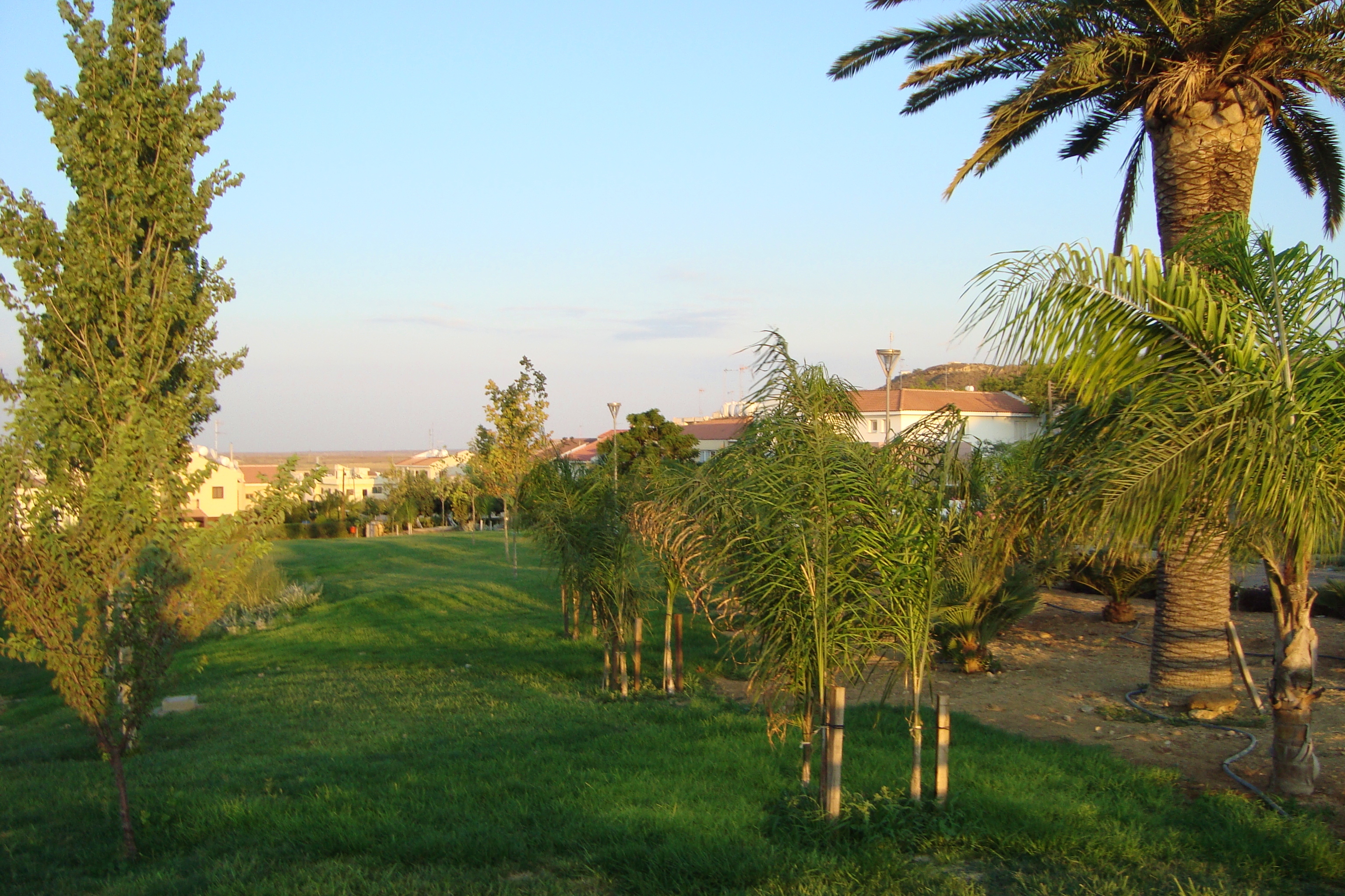 File:Park in Aglandjia during summer season in Nicosia ...