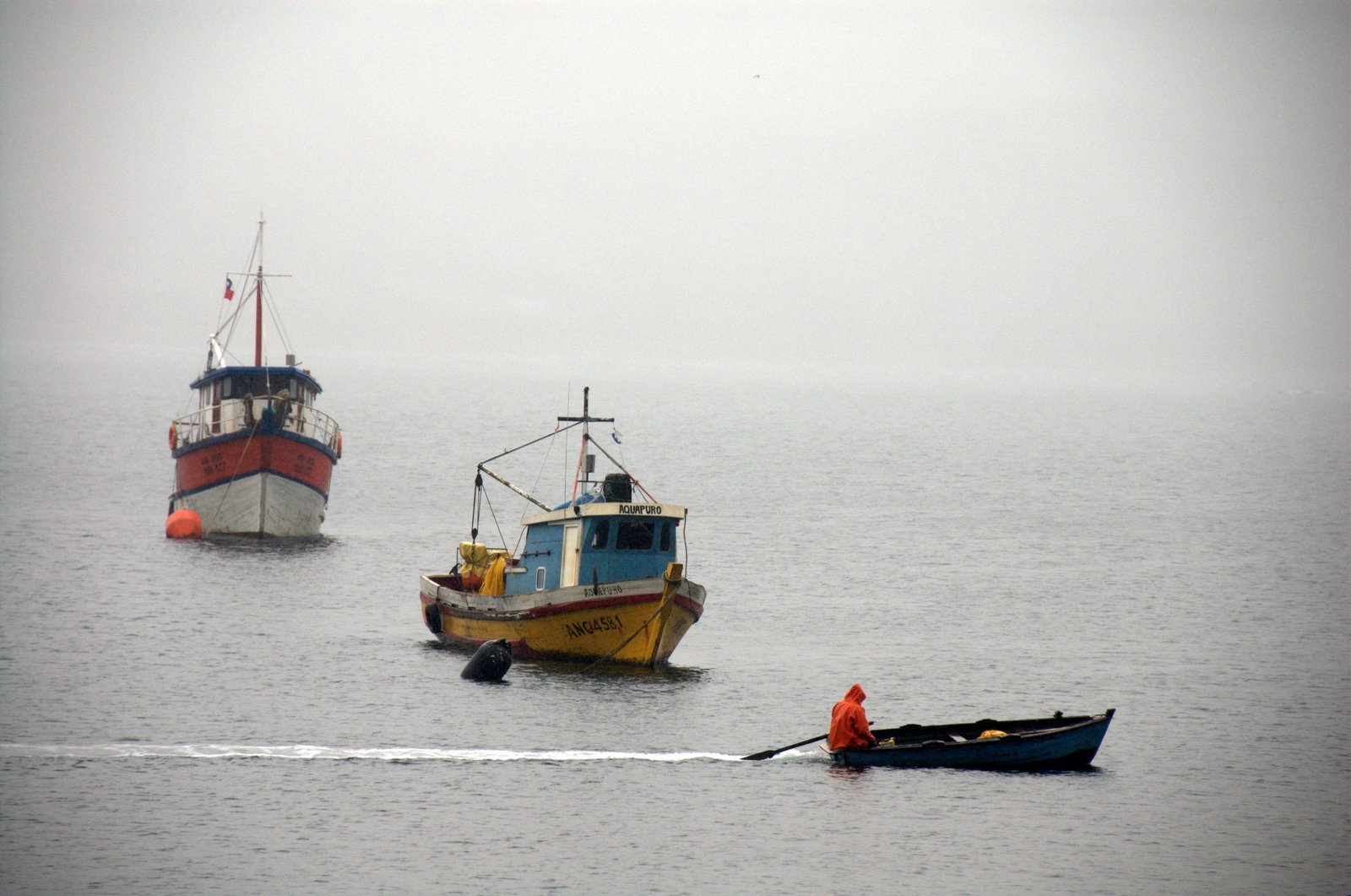 File:Pescador en bote.jpg - Wikimedia Commons