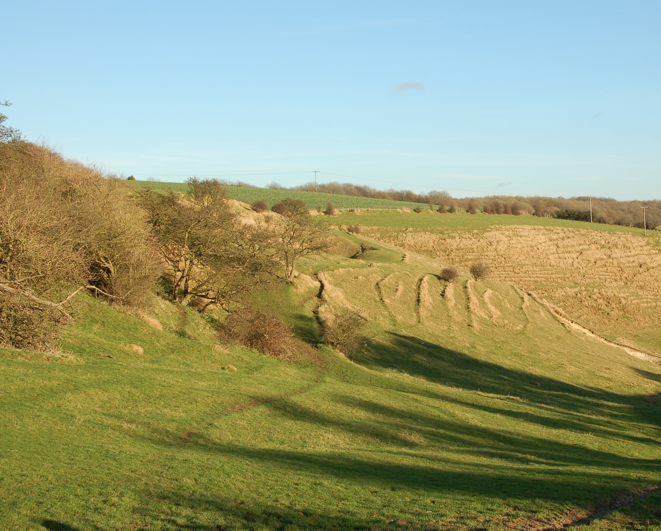 Farthing Common