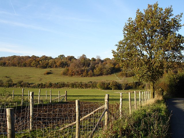 File:Queendown Warren from Cradles Road - geograph.org.uk - 81576.jpg