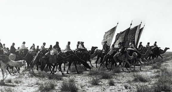 File:Saudi Camels march (cropped).jpg