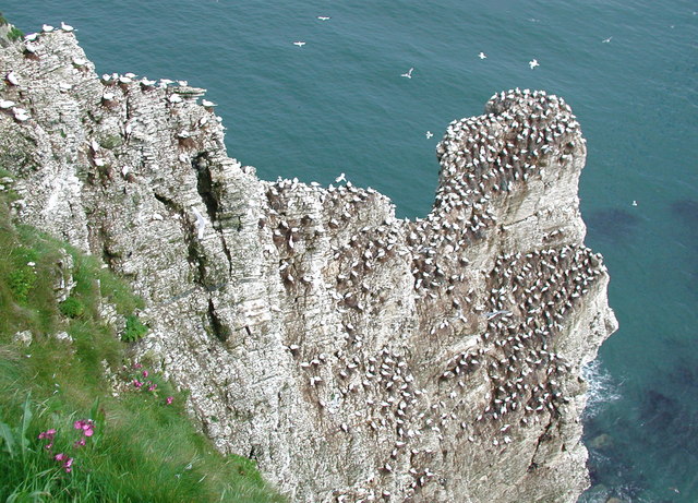 File:Scale Nab Bempton.jpg