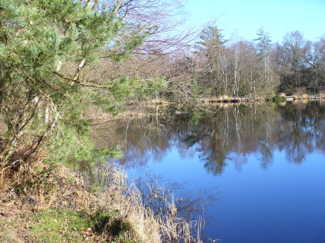 File:Shortheath Pond - geograph.org.uk - 328674.jpg