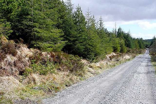 Su Con (Seecon) forest - geograph.org.uk - 1291716