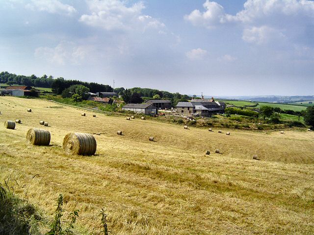 File:Trenchard Farm - geograph.org.uk - 26098.jpg