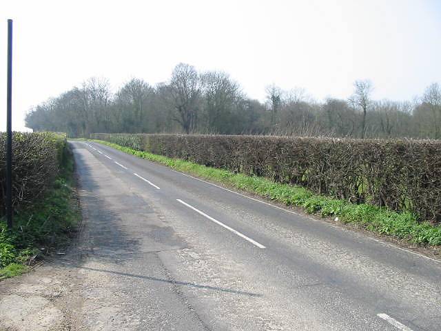 File:View SW along Hoath Road - geograph.org.uk - 385896.jpg