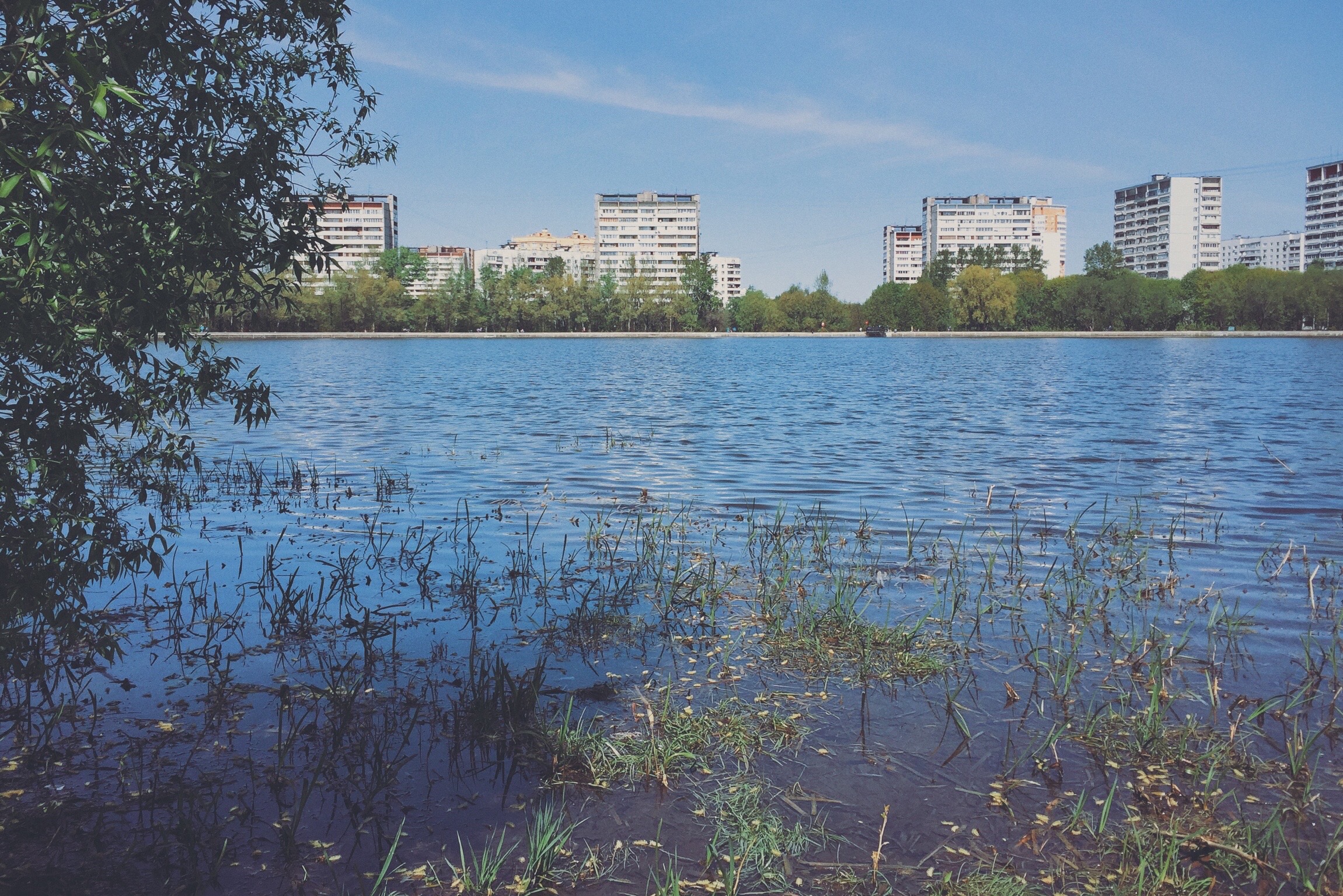 головинский пруд в москве