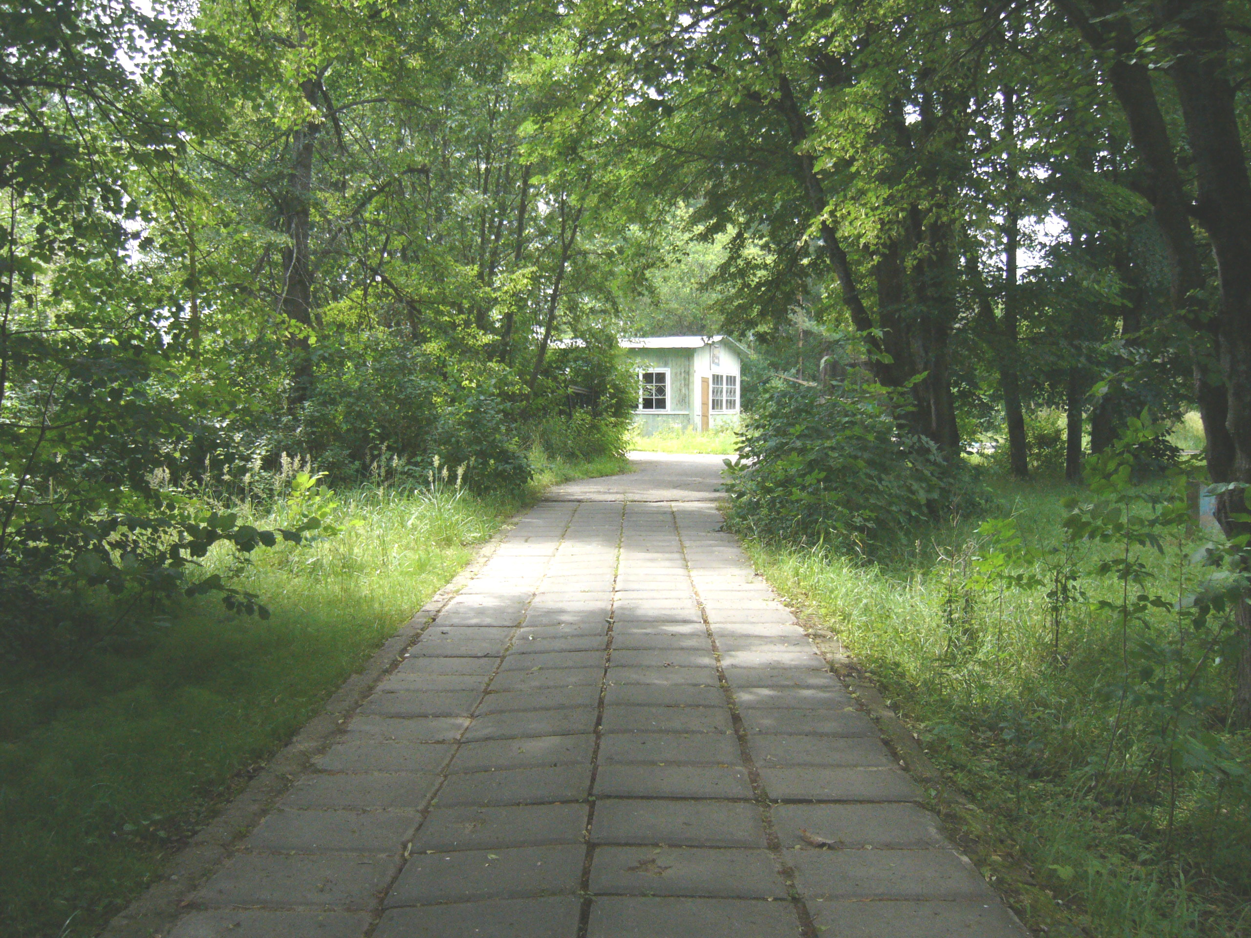 П л д 2. Бородино аллея. Парк в Уваровке. Красногорск аллея Бородина. Краснопутьевский Московская область.