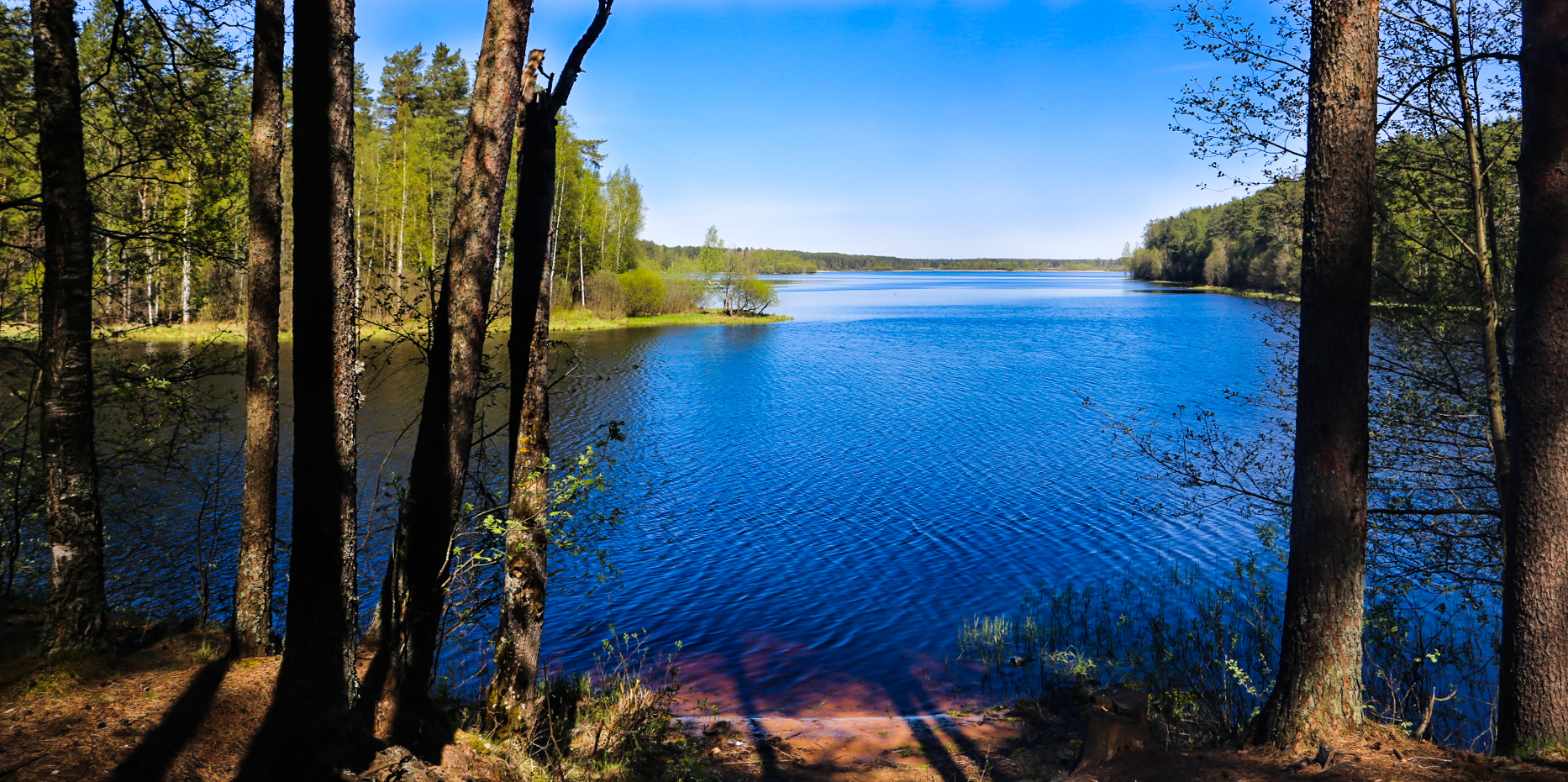 Озеро серебряное псковская область гдовский район
