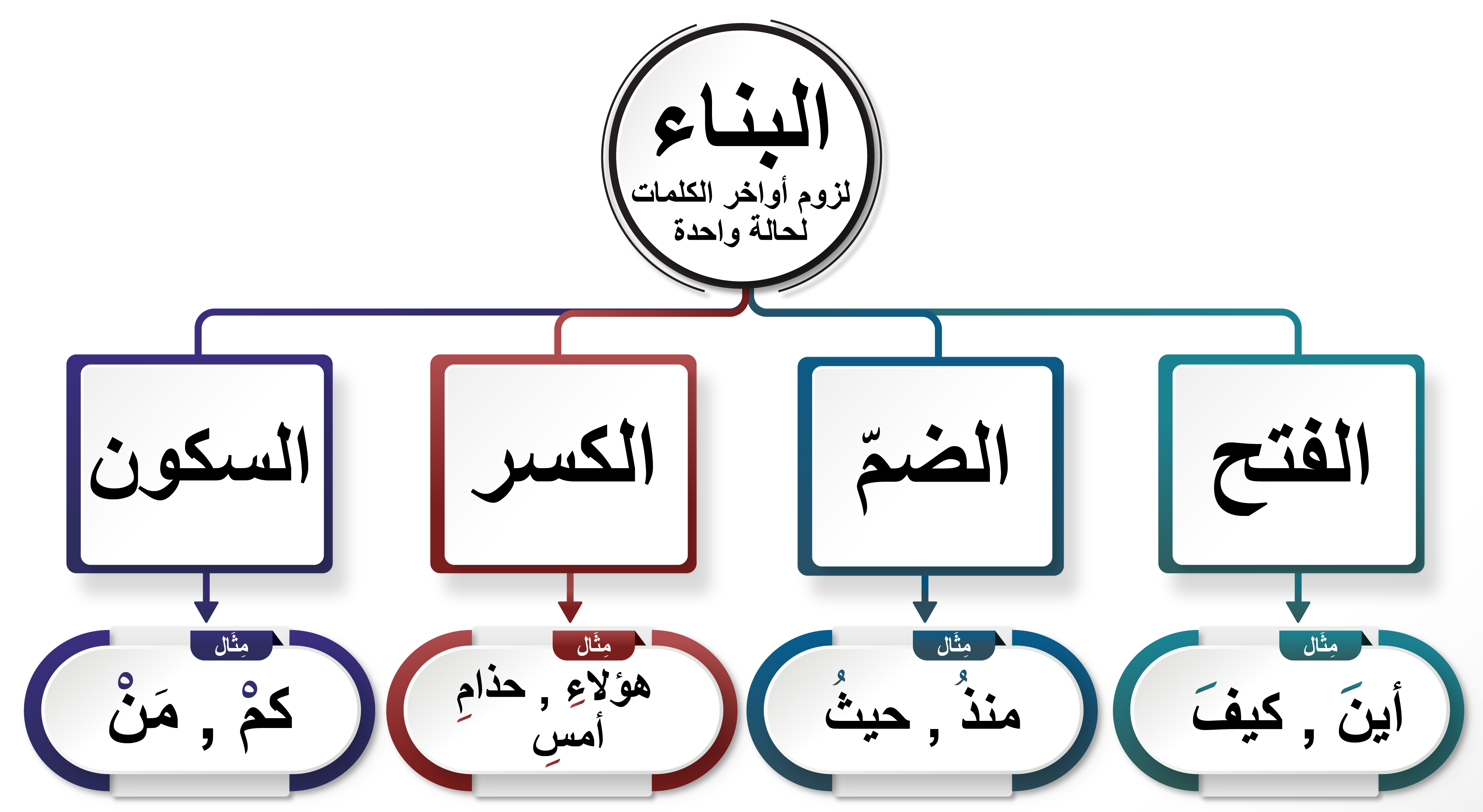 مساحه شبه المنحرف الذي طول قاعدته