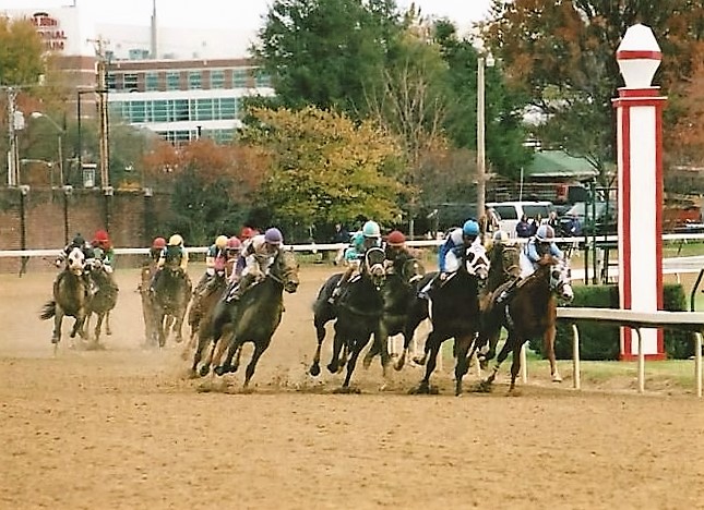 File:2006 Breeders Cup Juvenile, Street Sense with Calvin Borel Winner-Hidden On Rail.jpg