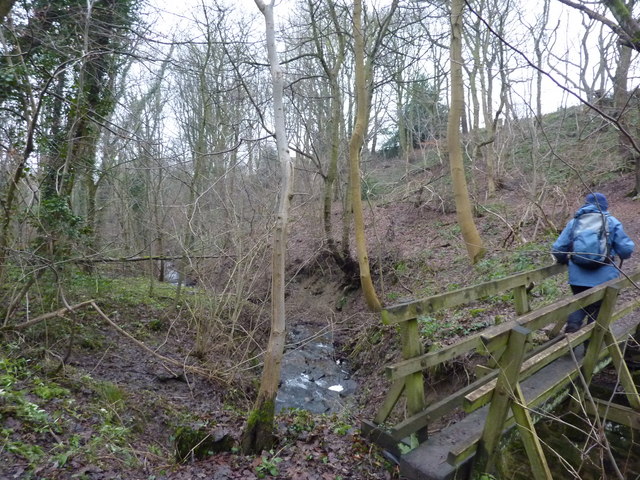 File:A footbridge in Grange Wood - geograph.org.uk - 1670907.jpg