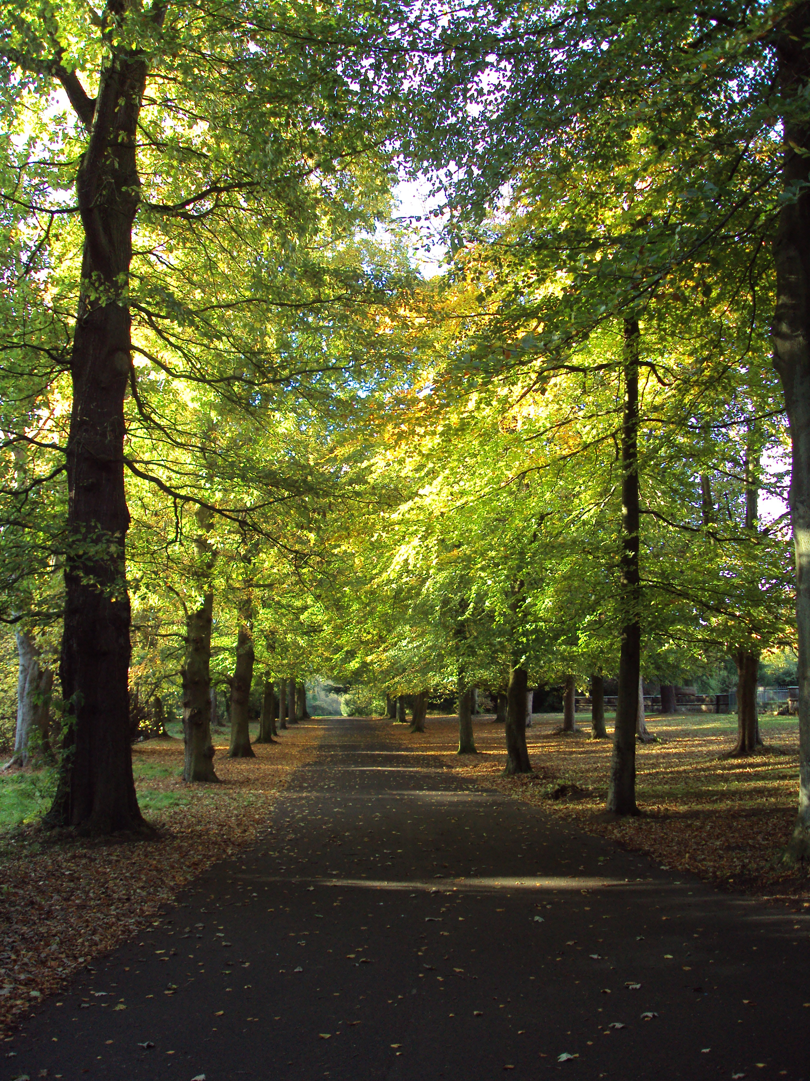 Arrowe Country Park