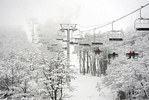 Cerro Castor is the most important ski resort in the province. CerroCastor01.jpg