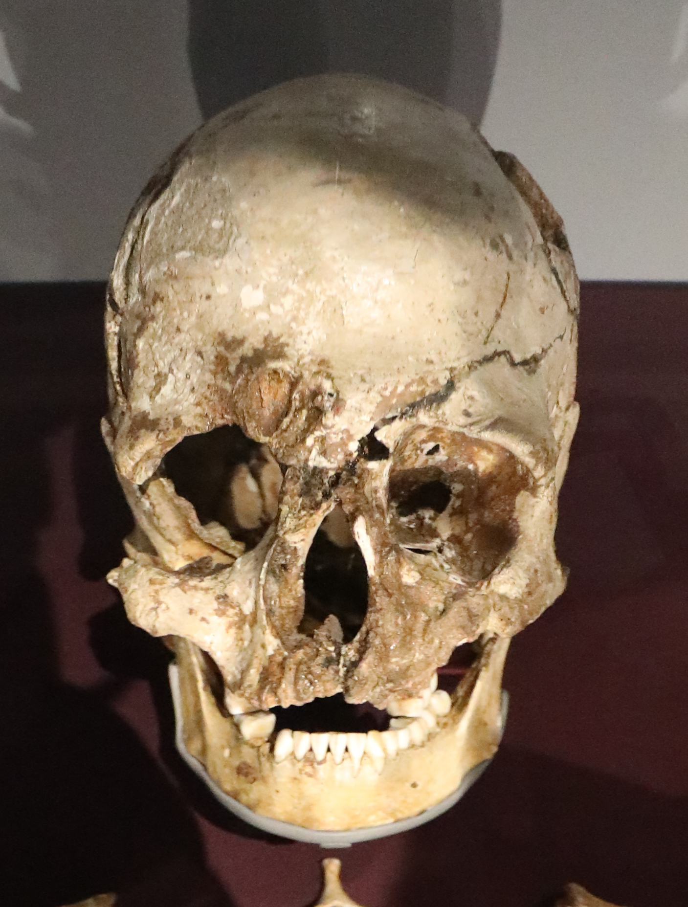 DNA shows first modern Briton had dark skin, blue eyes