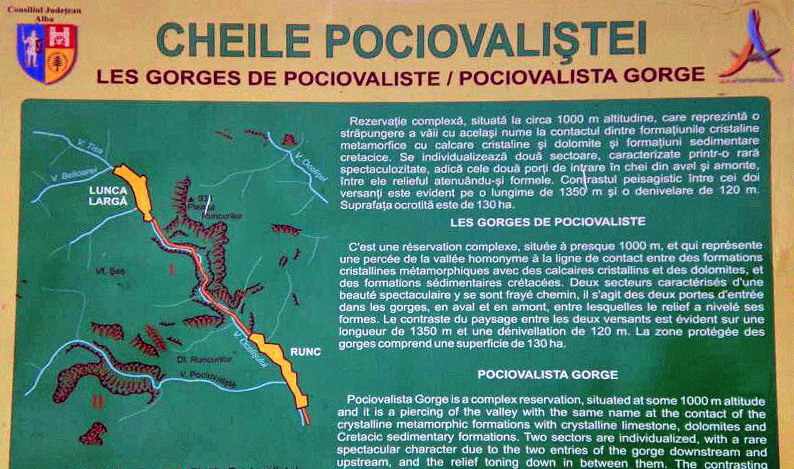 File:Cheile Pociovalistei.jpg