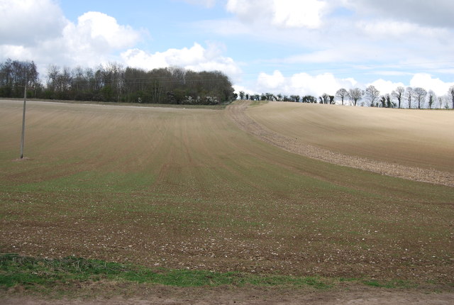 File:Coneyearth Wood - geograph.org.uk - 3033466.jpg