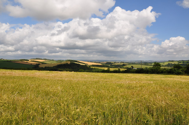 File:Cornish fields at Kernock near Pillaton - geograph.org.uk - 1395823.jpg