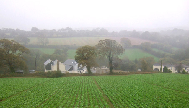 File:Crop field, Perranwell Station - geograph.org.uk - 4244738.jpg