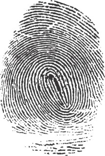 fingerprint  cartoon vector and illustration black and white hand drawn  sketch style isolated on white background Stock Vector  Adobe Stock