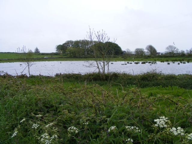 File:Flooded pasture - Ballyhomulta Townland - geograph.org.uk - 1312991.jpg