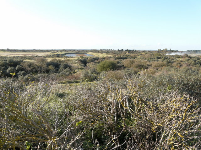 Gibraltar Point National Nature Reserve - geograph.org.uk - 1022055
