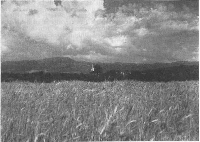 File:Gorjanci, pogled od Sv. Ane 1942.jpg