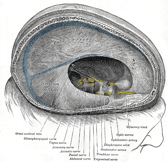 File:Gray567.png