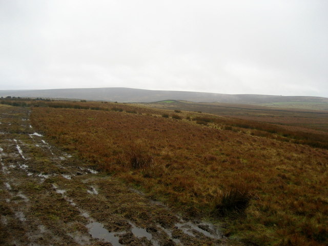 File:Green Aden - geograph.org.uk - 661556.jpg