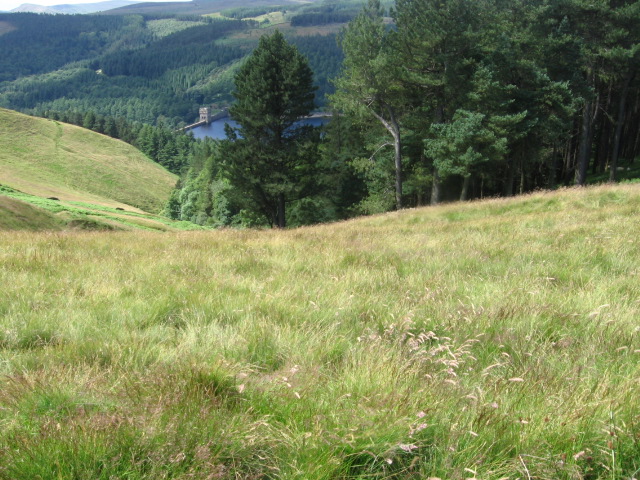 File:Hollin Clough towards Derwent Reservoir - geograph.org.uk - 1396861.jpg