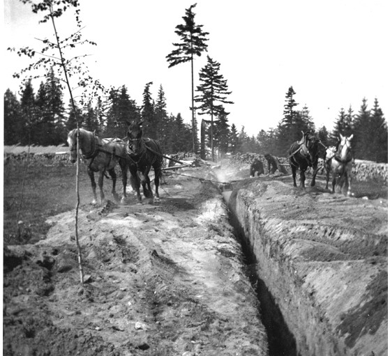 File:Horse drawn grader filling in sewer pipe trench on Fort Lawton, Seattle, Washington, July 9, 1899 (KIEHL 215).jpeg
