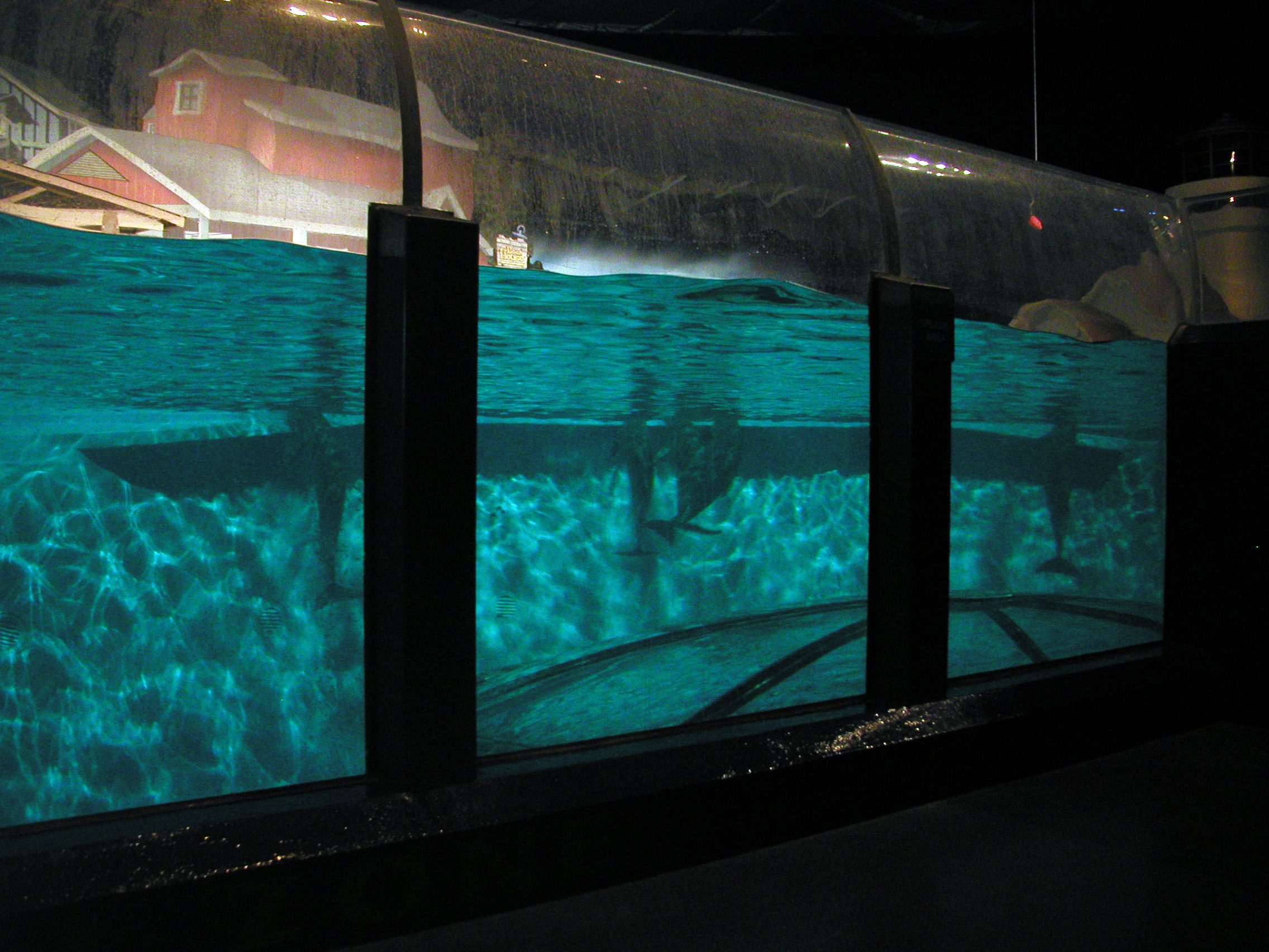 indianapolis zoo dolphin dome