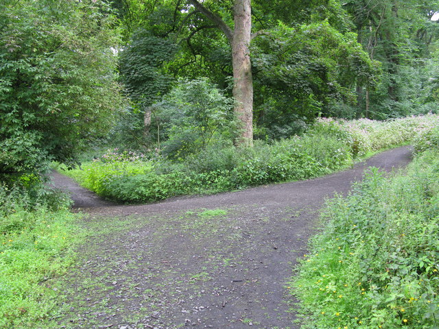 File:Junction of Paths on Corstorphine Hill - geograph.org.uk - 1400561.jpg