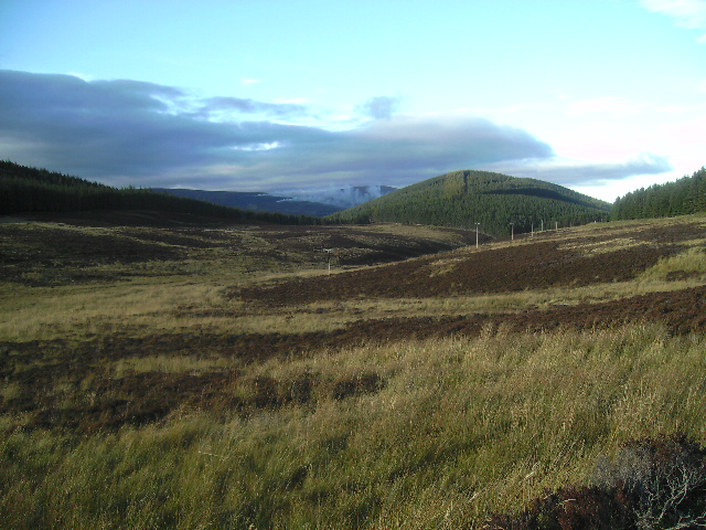 File:Moorland - geograph.org.uk - 585255.jpg