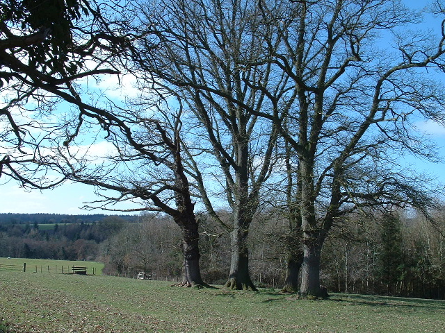 File:Near St Weonards - geograph.org.uk - 139747.jpg