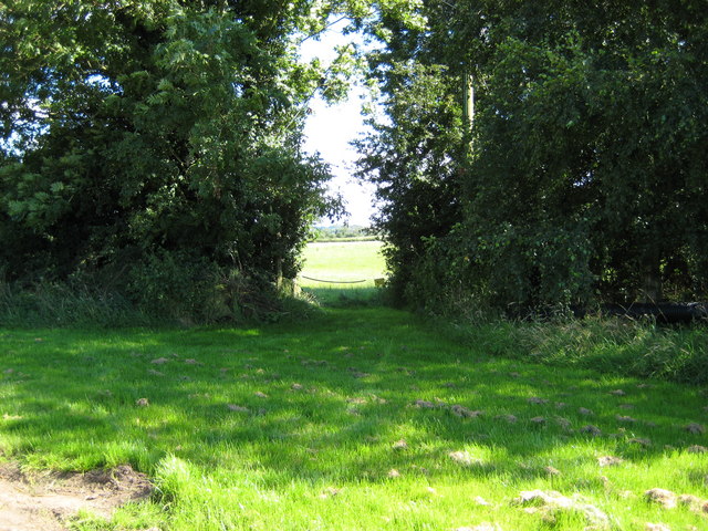 File:Path opposite Highlanes Farm - geograph.org.uk - 514187.jpg