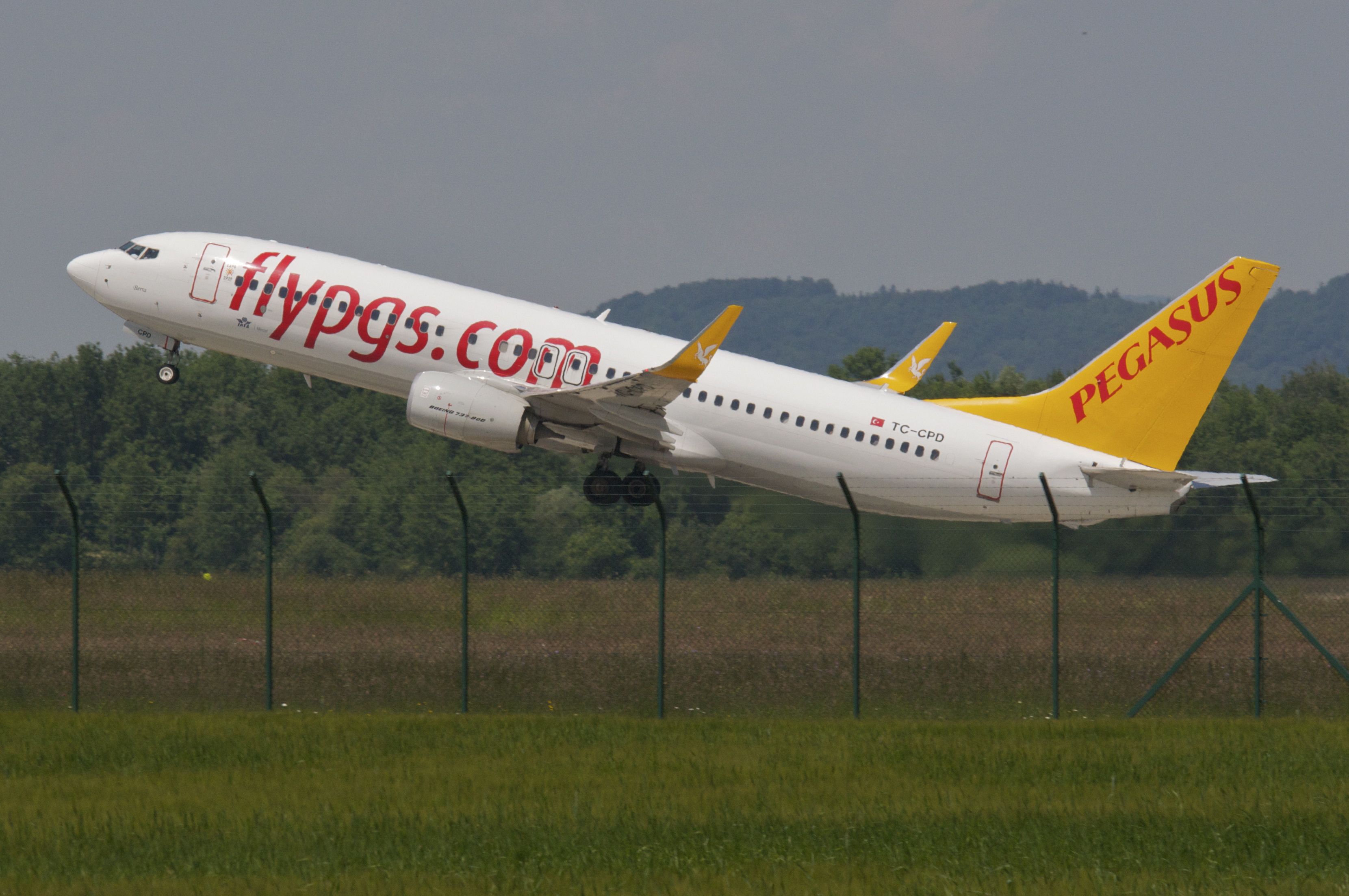 Авиакомпания пегас отзывы. Boeing 737-800 Pegasus. Пегас авиакомпания. Pegasus Airlines отзывы. Airlines отзыв.