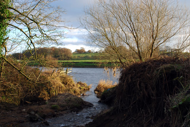 Ribble Tributary - geograph.org.uk - 1048623