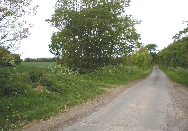 File:Seaside Road - geograph.org.uk - 261239.jpg