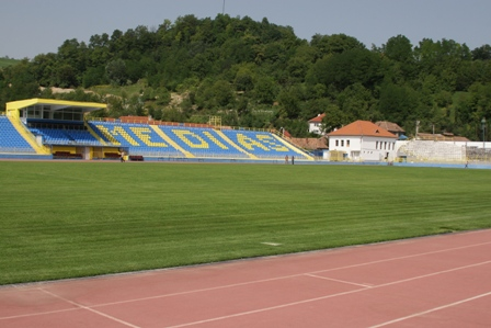 Stadionul Gaz Metan - Wikipedia
