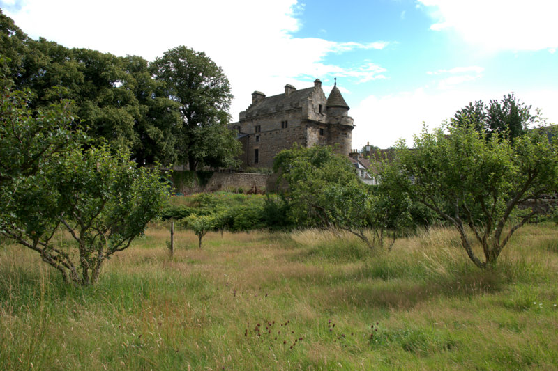 File:The orchard at Falkland Palace - geograph.org.uk - 1999096.jpg