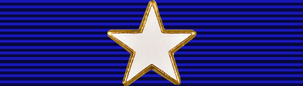 File:USA - TX Lone Star Medal of Valor.png