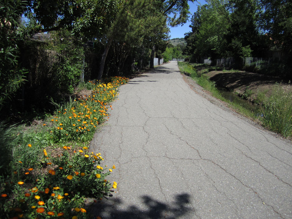 Ygnacio Canal Trail - Walnut Creek, California.jpg