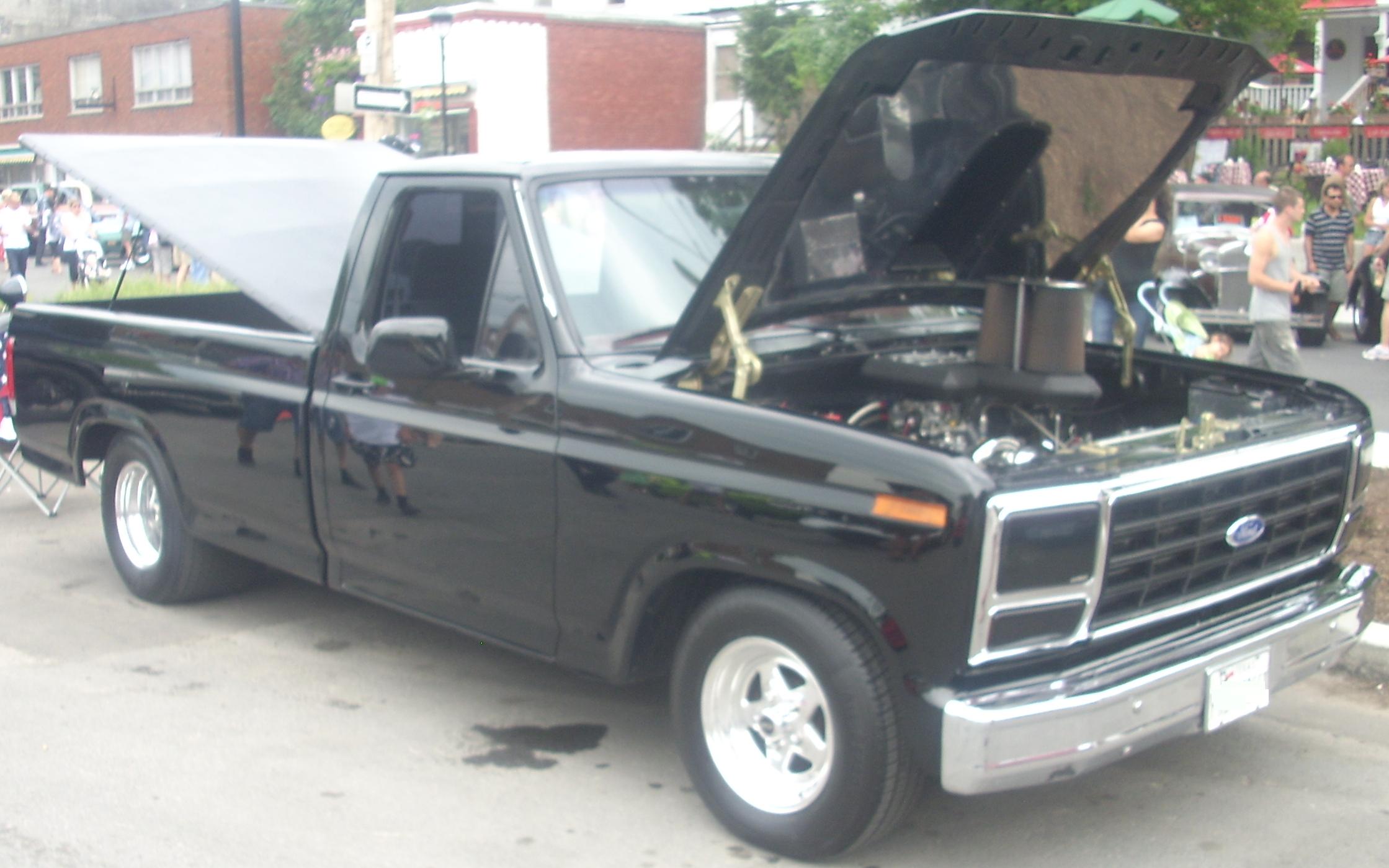 1989 Ford f150 wiki #3