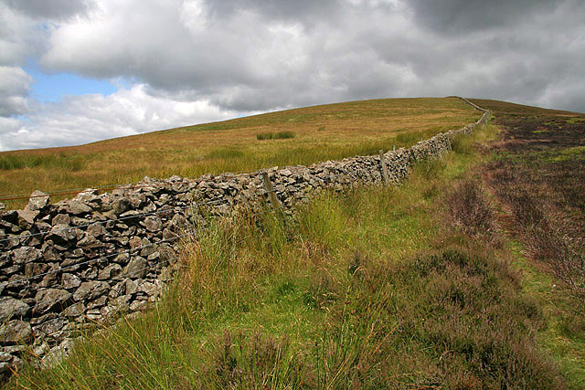 File:A drystane dyke on Dirrington Little Law - geograph.org.uk - 1414804.jpg