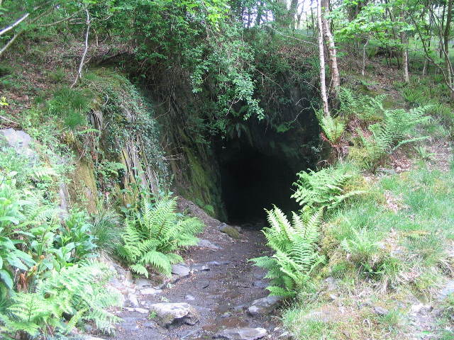 Dolgoch quarry, Gwynedd