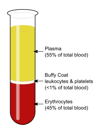 File:Blood-centrifugation-scheme.png