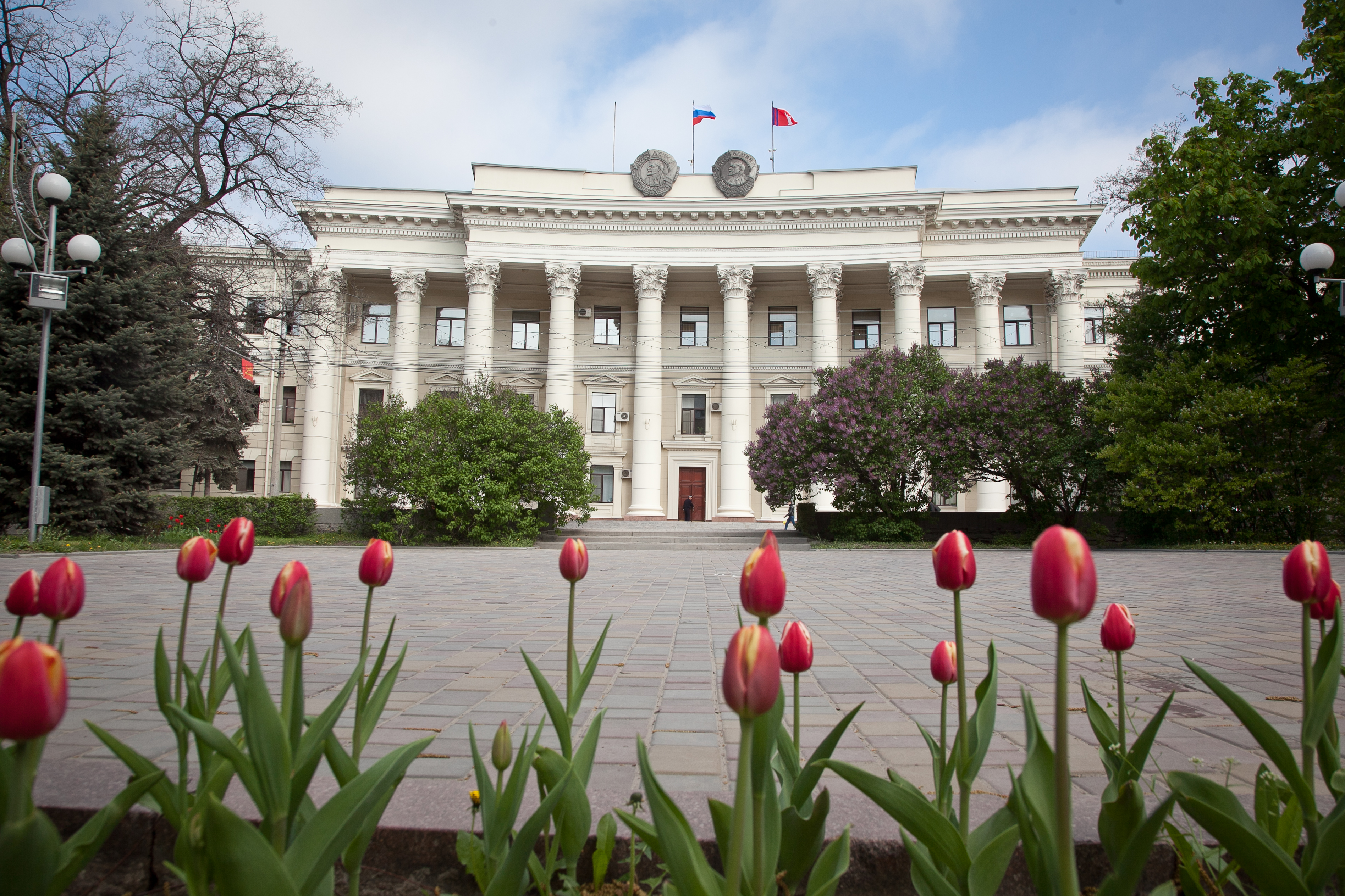 Администрация волгоградской области телефон